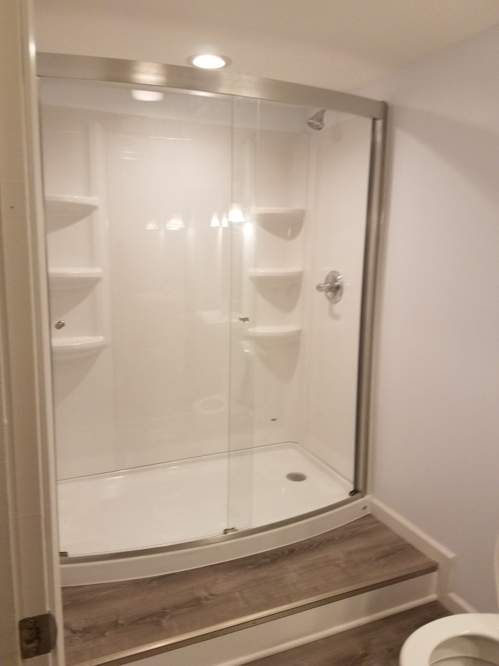 bathroom show step up